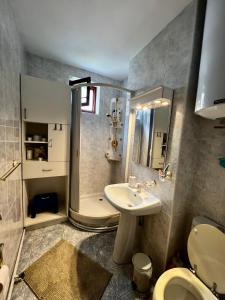 een badkamer met een wastafel, een toilet en een douche bij Apartament Confort - Baile Olanesti in Băile Olăneşti