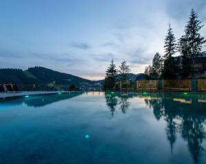uma grande piscina de água com árvores e montanhas em Hotel Podgorie Spa em Bukovel