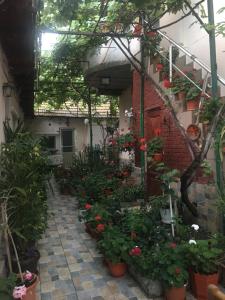 a courtyard with flowers and plants in a building at Cazare la mare vila Constanta in Constanţa