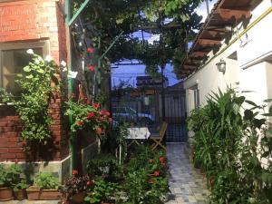Zahrada ubytování Cazare la mare vila Constanta