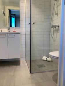 a bathroom with a shower and a toilet and a sink at Central 1 bedroom apartment NB!! Small room in Oslo +5 photos