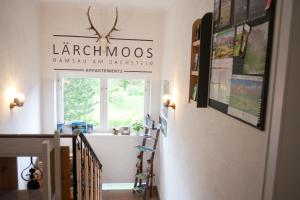 Galeriebild der Unterkunft Appartements Lärchmoos in Ramsau am Dachstein