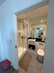 a bathroom with a shower and a toilet and a sink at Comfy and Spacious Flat in London