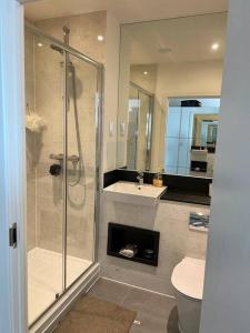 a bathroom with a shower and a sink and a toilet at Comfy and Spacious Flat in London