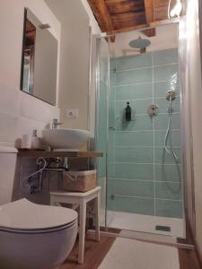 a bathroom with a shower and a toilet and a sink at Rota's House in Bergamo