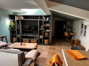 salon z kanapą i telewizorem w obiekcie Maison avec patio et jacuzzi w mieście Saint-Rémy-de-Provence