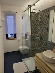 uma casa de banho com um chuveiro, um WC e um lavatório. em Genius Guest Unique Banovci Apartment em Banovci