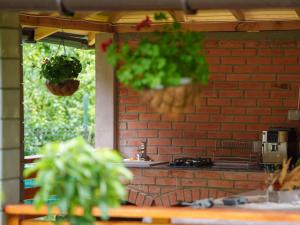 een keuken met een bakstenen muur en een aantal planten bij Colt de Rai in Berislăveşti