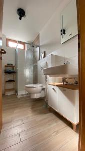 ein Bad mit einem Waschbecken, einem WC und einer Dusche in der Unterkunft Apartment Bärenfelsblick in Wehr
