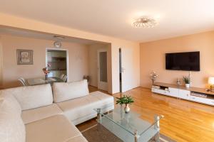 TV a/nebo společenská místnost v ubytování Apartments Nada