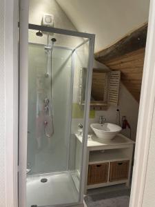 y baño con ducha y lavamanos. en Saumur, proche, les 3 gîtes, en Saint-Martin-de-la-Place