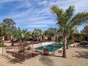 una piscina con una palma in un cortile di Villa Oleya Belle demeure nature a Essaouira