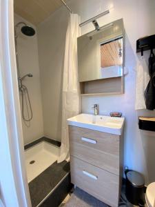 y baño pequeño con lavabo y ducha. en Lumineux et confortable 2 pièces, centre Sospel, en Sospel