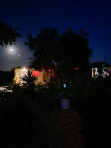 a night view of a house with a tree and a moon at Cala Creta in Lampedusa