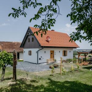 a white house with a red roof at Weinberg Chalet Kokumandl in Winten