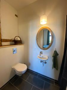 ein Badezimmer mit einem WC, einem Waschbecken und einem Spiegel in der Unterkunft Gamle Præstegård in Fåborg