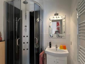 uma casa de banho com um lavatório, um chuveiro e um espelho. em Radstation Menz em Menz