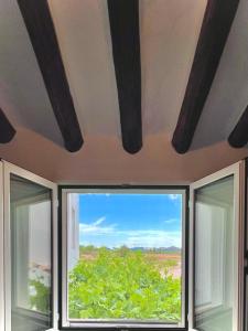 a window in a room with a view of a tree at LA CASA DEL CAMINO DEL PUERTO in Chirivel