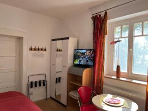 a bedroom with a bed and a table and a tv at Radstation Menz in Menz