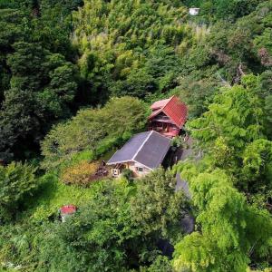 Vue aérienne d'une maison au milieu d'une forêt dans l'établissement Sunny Side Cottage, à Shimoda