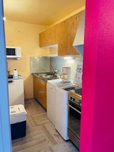 une petite cuisine avec une cuisinière et un évier dans l'établissement Les Longes, à Le Mont-Dore