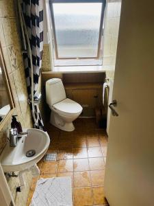 ein kleines Bad mit WC und Waschbecken in der Unterkunft Nice House in centrum. in Frederikshavn