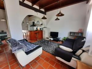 ein Wohnzimmer mit einem Sofa und einem TV in der Unterkunft Maison de vacances 4 chambres, jardin et toit terrasse in Peyriac-de-Mer