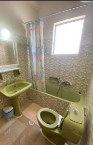 a bathroom with a green toilet and a sink at EMILIOS SEE VIEW in Barbati +50 photos