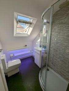 a bathroom with a shower and a toilet and a sink at Arawak in Kent