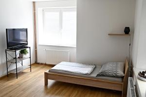 TV a/nebo společenská místnost v ubytování Apartmány Bolevec Plzeň pro rodiny s dětmi a zvířátky