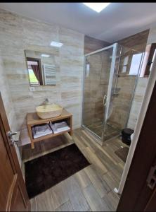 La salle de bains est pourvue d'un lavabo et d'une douche. dans l'établissement Agropensiunea La Uța, à Rebrişoara