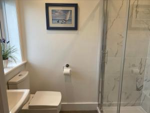 a bathroom with a shower and a toilet and a picture at Walton House in Frinton-on-Sea