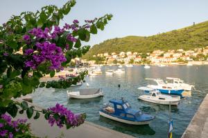 Gallery image of Bugenvilija apartment in Brna +14 photos