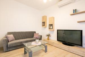 a living room with a couch and a large flat screen tv at Bugenvilija apartment in Brna