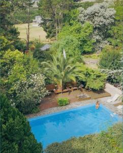 an overhead view of a swimming pool in a garden at Posada del Viento in Tandil