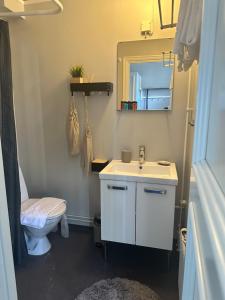 La salle de bains est pourvue d'un lavabo, de toilettes et d'un miroir. dans l'établissement Tummens B & B, à Vadstena