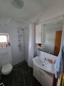 a bathroom with a toilet and a sink and a shower at Toni&Megi Apartment in Jesenice