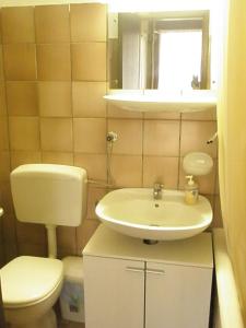 La petite salle de bains est pourvue de toilettes et d'un lavabo. dans l'établissement Studio Apartment Jadranko, à Krnica