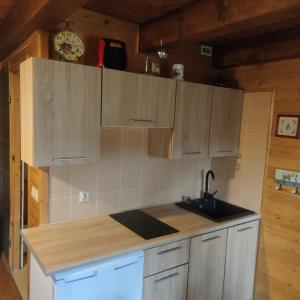 a kitchen with wooden cabinets and a sink at niezapominajka-jura in Niegowa