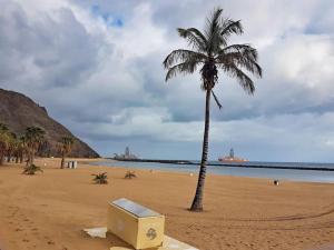 a palm tree and a box on a beach at Las Teresitas Apartment in San Andrés