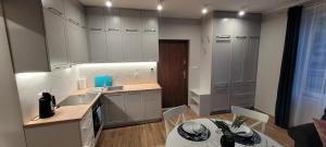 Η κουζίνα ή μικρή κουζίνα στο ApartamentyZarzecze9 +24 φωτογραφίες