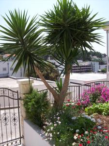 Ogród w obiekcie Apartments Prosperina Hvar