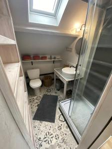 y baño con ducha, aseo y lavamanos. en Maison de Charme 4 chambres, en Les Moutiers-en-Cinglais