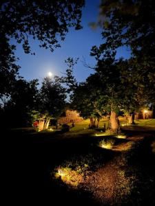 A garden outside Il Venaio