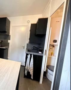 a small kitchen with a toilet in a room at Studio Guzet-Neige, au pied des pistes in Ustou