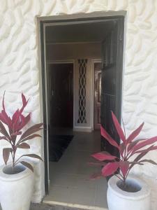 two potted plants sitting in front of a building at Bedroom Diani Beach in Junda