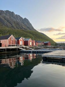 a group of houses next to a body of water at Senja Living in Stonglandseidet