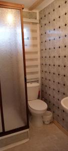 uma casa de banho com um WC e um lavatório em Cabañas el Mirador em Recinto