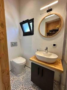 ein Badezimmer mit einem Waschbecken, einem WC und einem Spiegel in der Unterkunft Tiny House Patara in Kaş