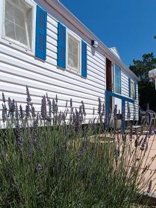 una casa con persianas azules y flores púrpuras delante de ella en Mobil home 6 personnes climatisation Sainte Croix du Verdon - Gorges du Verdon, en Sainte-Croix-du-Verdon